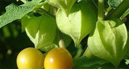 解读“央行虚拟货币新规”:监管困难范围有限“BJL平台”(图1) BJL平台