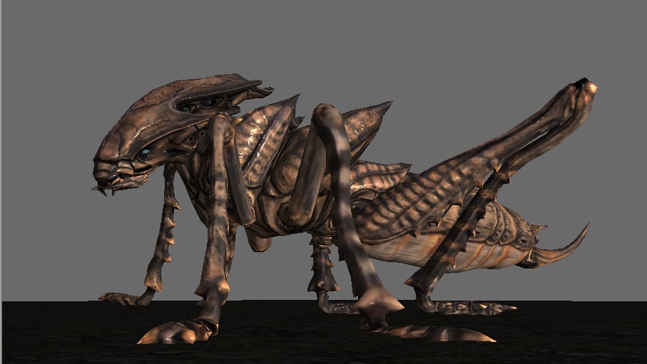 BJL平台-日本破解“最强生物”水熊虫不死之谜:基因使然(图1) BJL平台