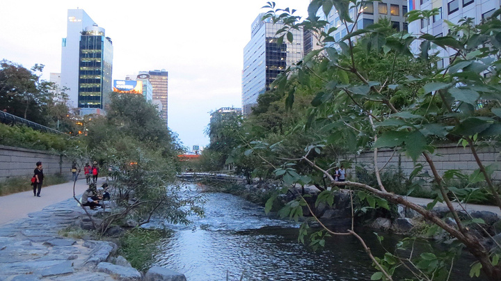 中国空军发布超燃宣传片 5架歼20密集编队亮相(图)“BJL平台集团”(图2) BJL平台集团