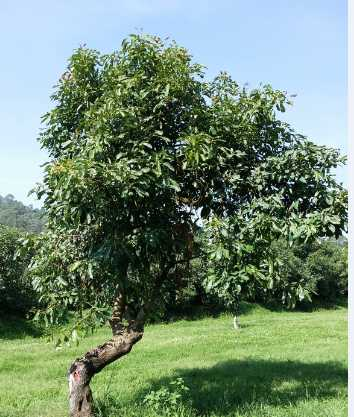 中国先后买4艘航母为何仅瓦良格号被改造有3项原由‘BJL平台’(图1) BJL平台集团